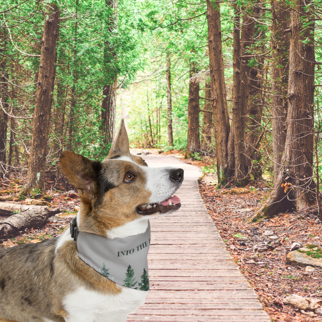 forest bandanas for nature lovers